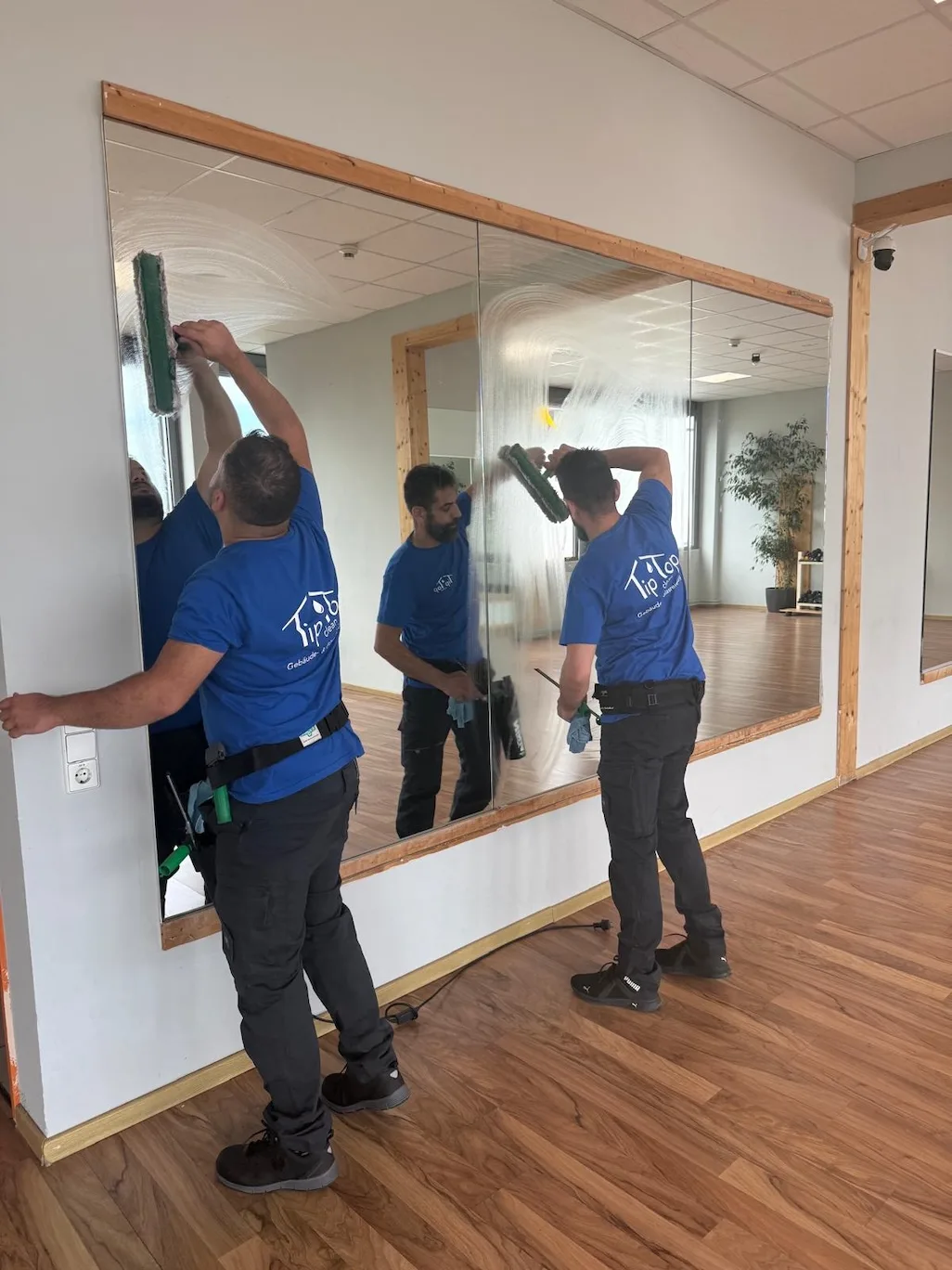 Glasreinigung Spiegel & Glasflächen Freiburg 2